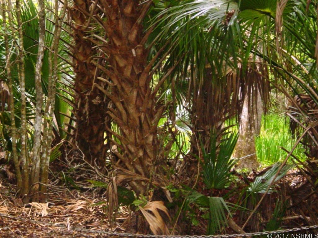 Model Land Co In Betts Grant - Land