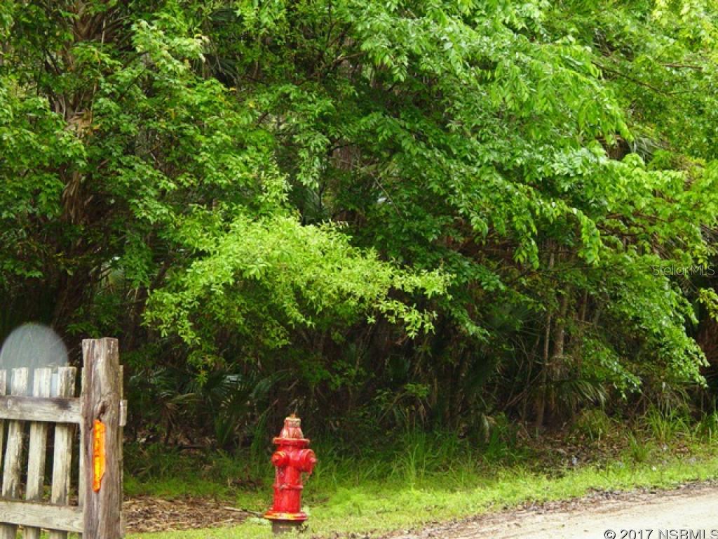 Model Land Co In Betts Grant - Land