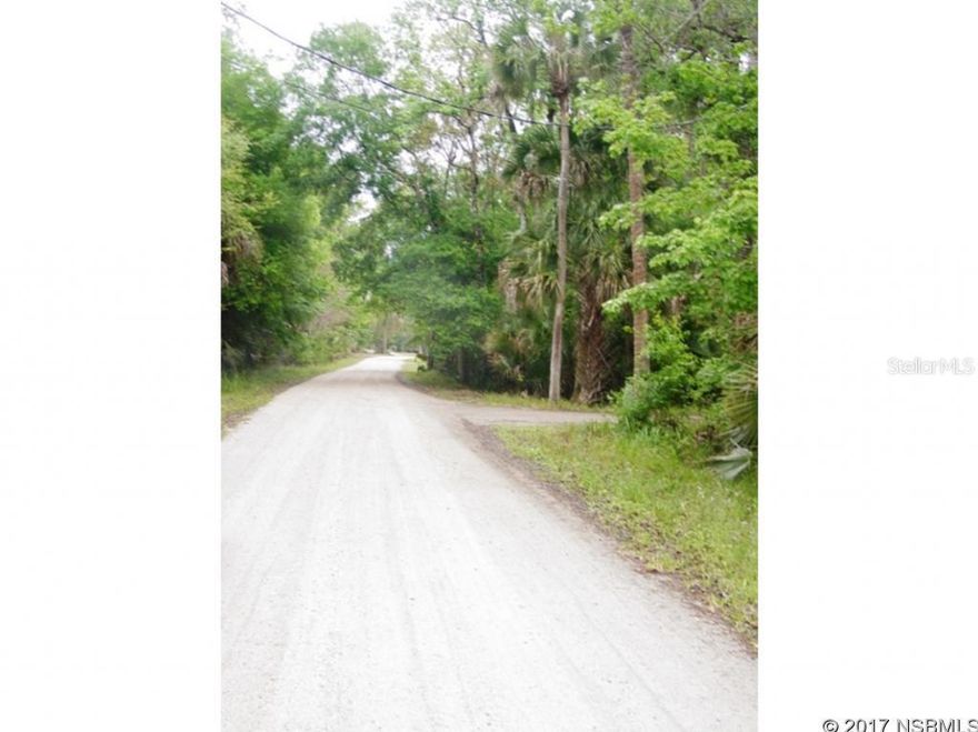 Build your dream home on these 10 beautifully wooded acres with some wetland. About 3 acres buildable but no wetlands determination done on property. No Manufactured homes. Modular homes welcome. This is your place in the sun. Live close to town and yet feel like you are in the country. At the end of a quiet street with nice homes. Need room for all of your toys, this is the place for you. 15 minutes to beach. 3 mins to I-95. 5 mins from shopping and restaurants. 1 Â½ hours from Disney and other Orlando attractions. 45 minutes from Cape Canaveral. 1 hour from St. Augustine. Also included in listing Parcel Number 38-18-34-03-00-0150.; Cleared: Partial ;Water: Available at Site