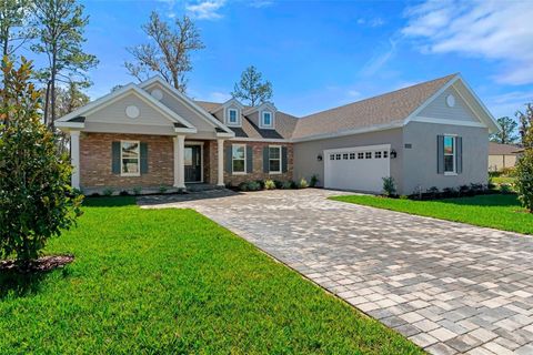 Photo of 19364 Sheltered Hill Drive, Brooksville, FL 34601 (MLS # O6387689)