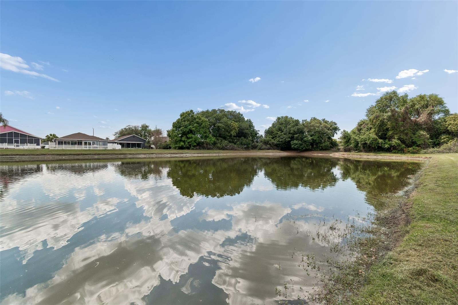 EDGEWATER AT LAKE BRANDON - Residential