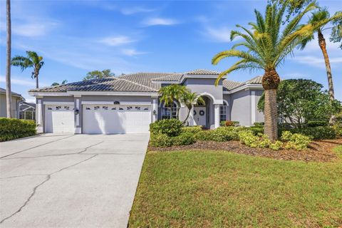 Photo of 9651 Venturi Drive, Trinity, FL 34655 (MLS # TB8487610)