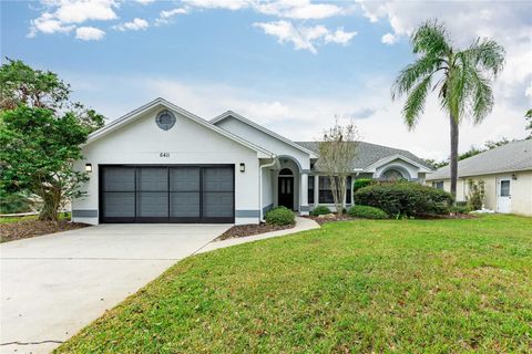 A home in ZEPHYRHILLS