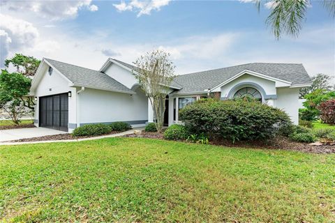 A home in ZEPHYRHILLS