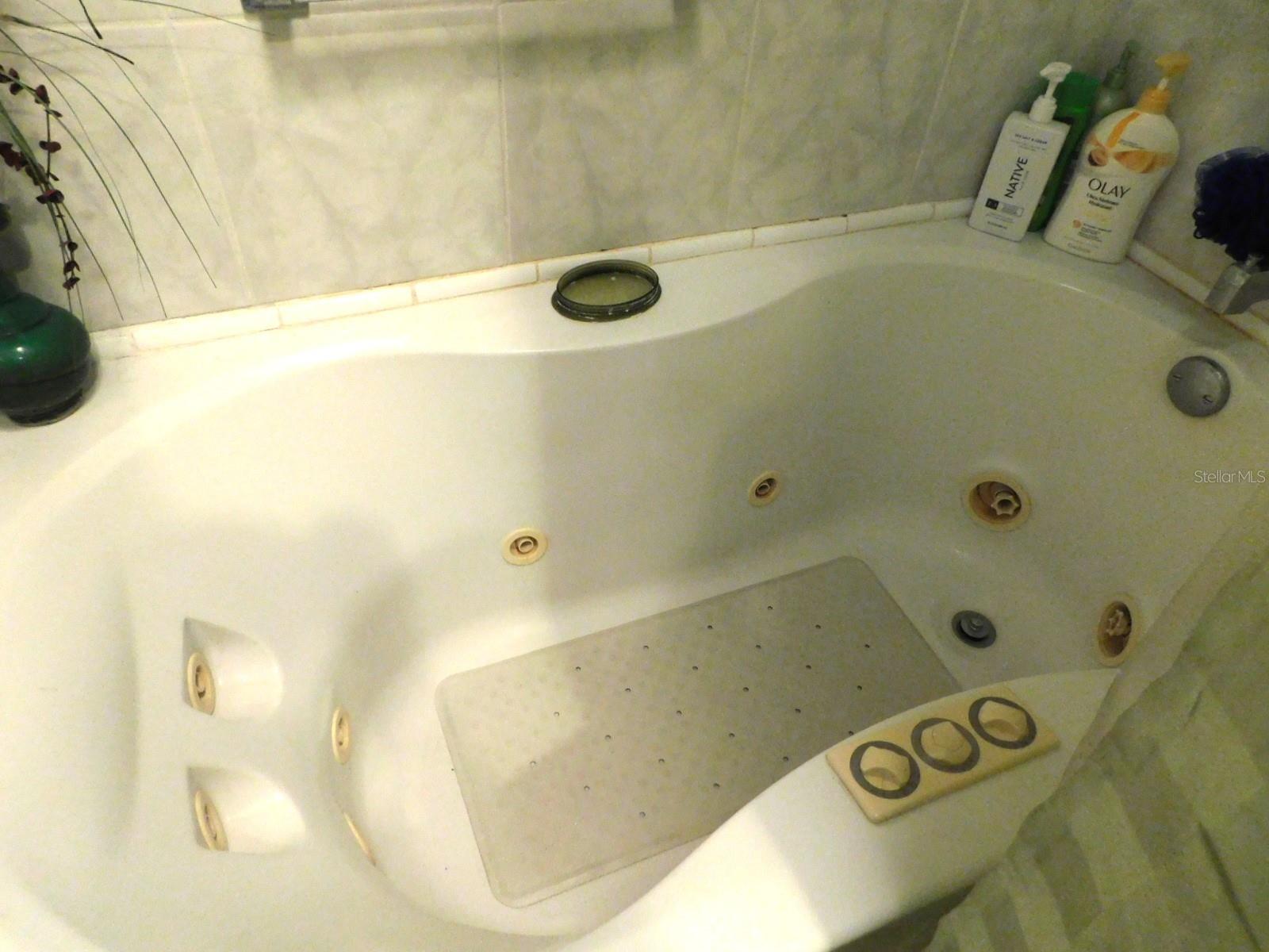 PARADISE ISLAND CO-OP INC - Residential