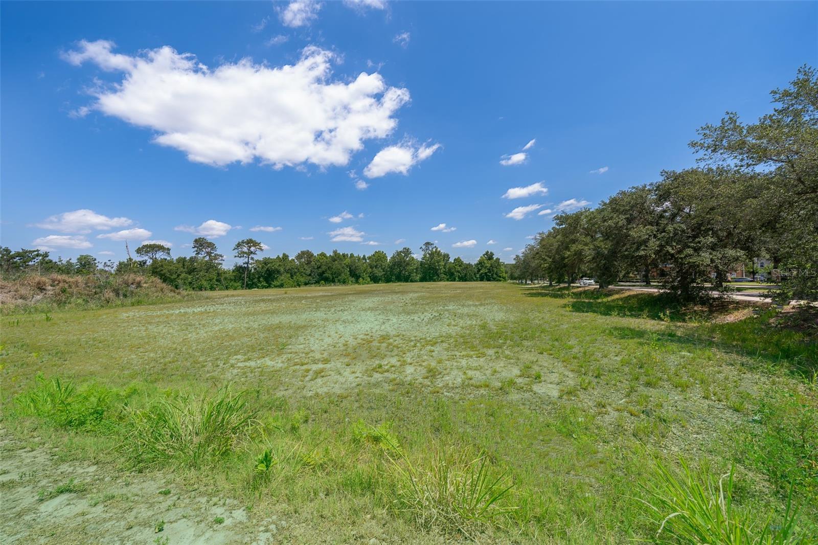 ACREAGE & UNREC - Land