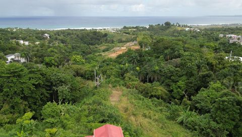 CARR 413 RINCON  00677