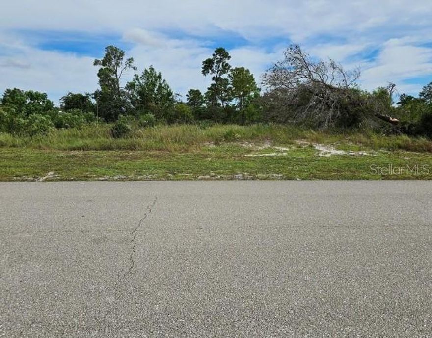Check out this vacant, partially cleared residential lot, ready for your next home project or you can hold it for future investment. This lot is on a paved road, next to an existing home (electricity available) and across from commercial/storage lots. You can be in town within 10 minutes to shop, dine, or view the fabulous murals around town. Lake Placid is centrally located and you could be 2-3 hours away from popular destinations like Orlando, Miami, Tampa or the beaches. Come experience the town's charm and fish or relax in one of its many lakes. The Caladium Festival, the 12 hours of Sebring, and the natural setting, makes this an awesome place to live and enjoy the rural life 24/7. Don't delay, check it out today!