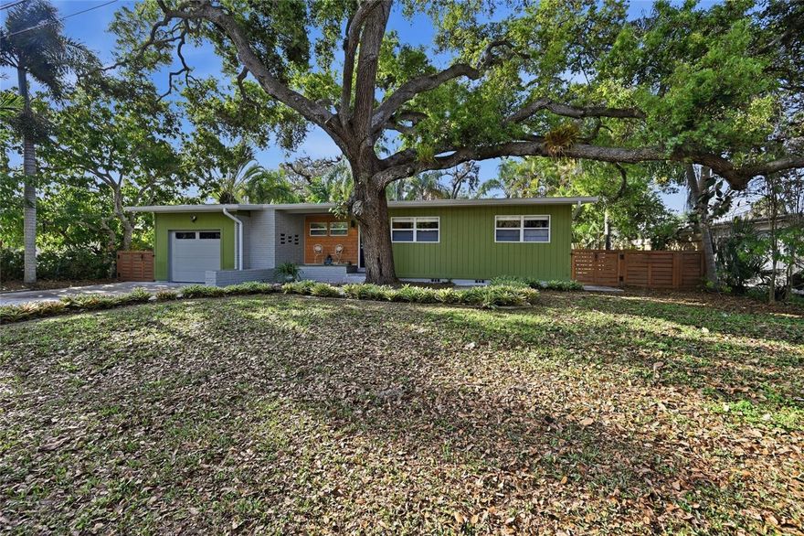 A grand oak welcomes you to this charming 2BR 2BA midcentury modern home. The perfect blend of old and new, this home has been thoughtfully updated with an open layout, plus the personality of real hardwood floors, high ceilings, and ample wall space with lighting to highlight your artwork.  A modern kitchen features an induction range with a convection oven, and views through the home to the mature low-maintenance gardens in the fenced back yard. A large patio covered by a pergola provides a delightful spot for alfresco meals. The electrical and plumbing have been fully updated and hurricane windows have been installed in all but one room. The primary bedroom features an ensuite bath and a large dressing area or office, but would be simple to convert back to a three bedroom should the need arise. Convenient to everything, the home is ten minutes from downtown Sarasota, and the bridge to Lido and St. Armands, tucked into the quiet end of a dead end street. Just beyond the Sapphire Shores/Indian Beach neighborhood, near Ringling College and New College, walking distance to the iconic Bahi Hut, and not in a flood zone. Perfect for an artist or collector. A  refreshing break from cookie cutter.