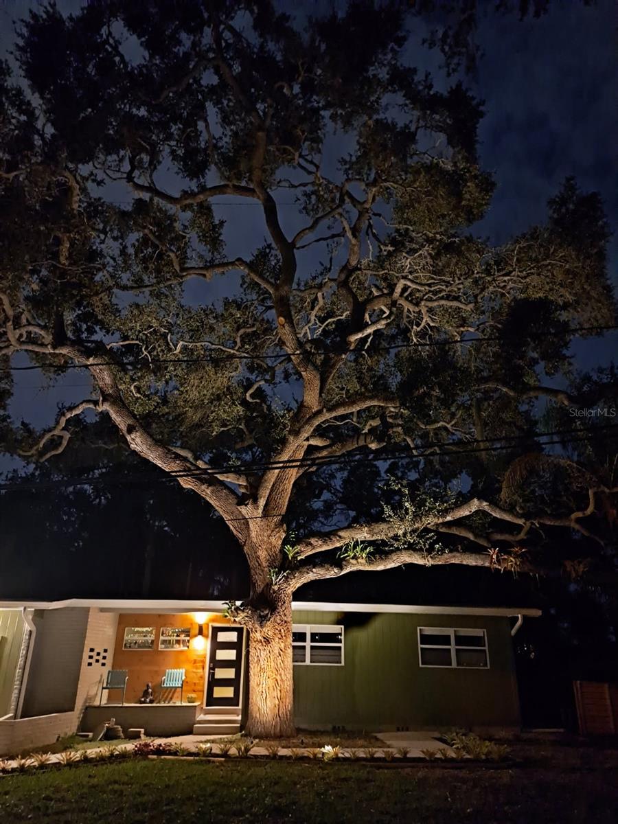 PHILLIPS JOHN SUB REPLAT OF - Residential