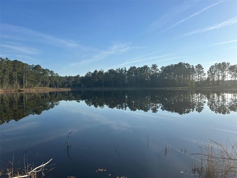 SE 49TH STREET ROAD OCKLAWAHA FL 32183