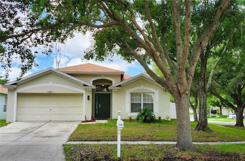 A home in RIVERVIEW