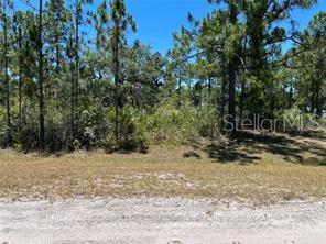 INDIAN LAKE ESTATES UNIT 09 REV - Land