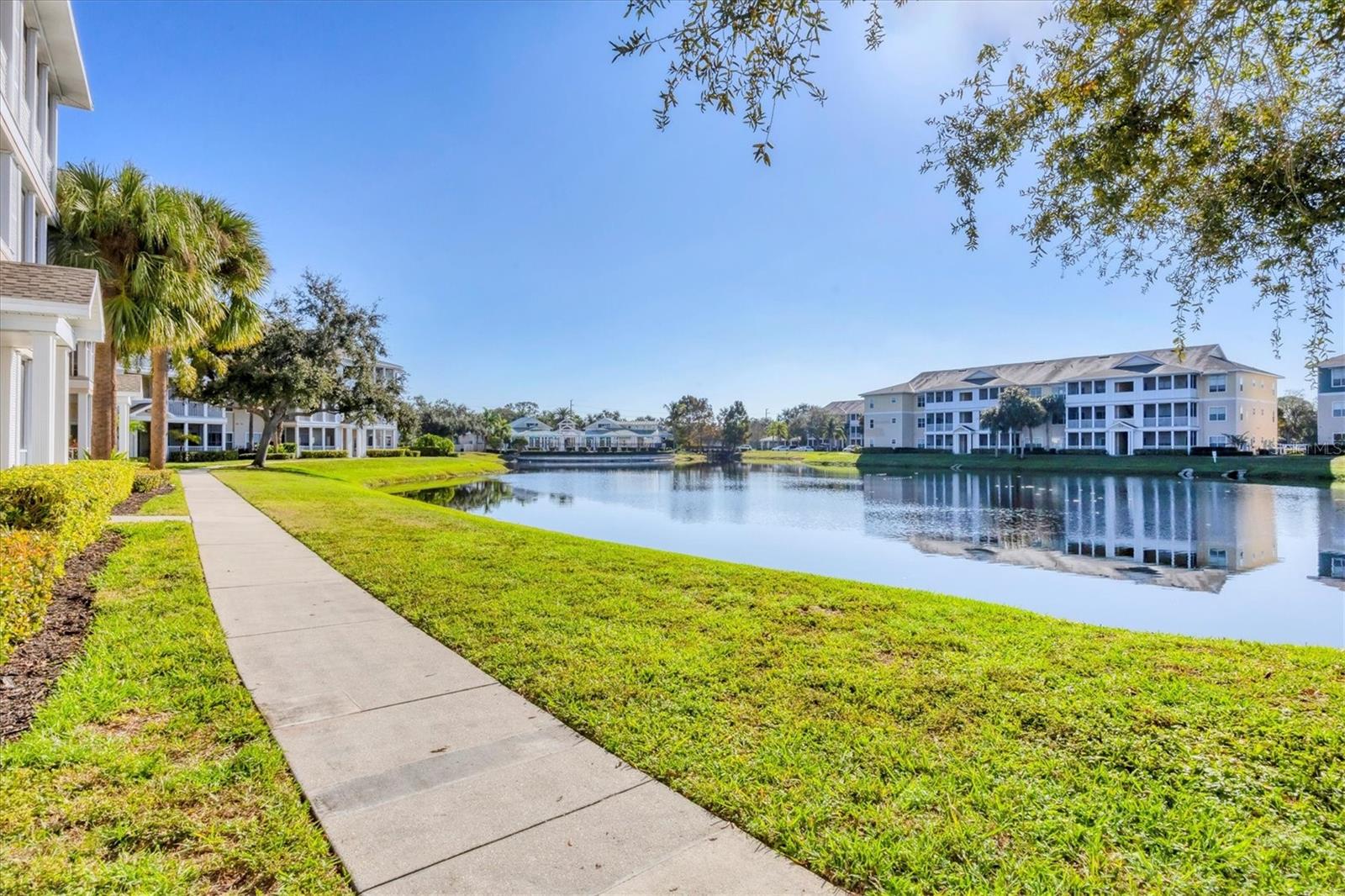 THE PALMS OF CORTEZ - Residential