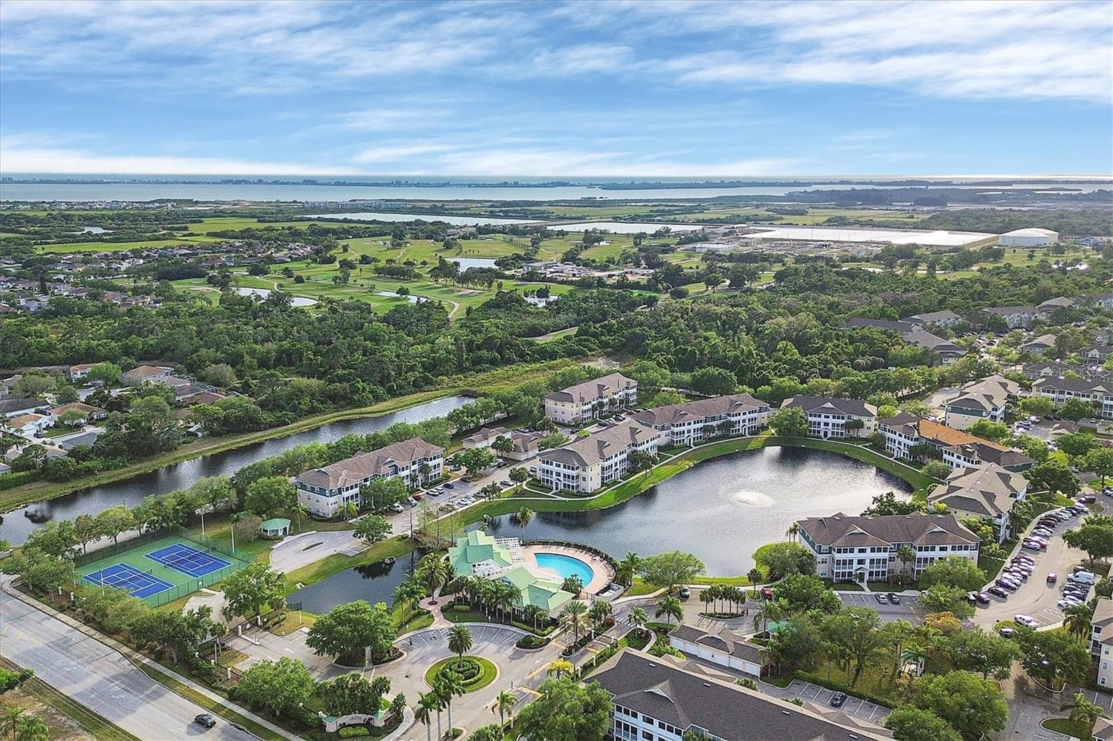 THE PALMS OF CORTEZ - Residential