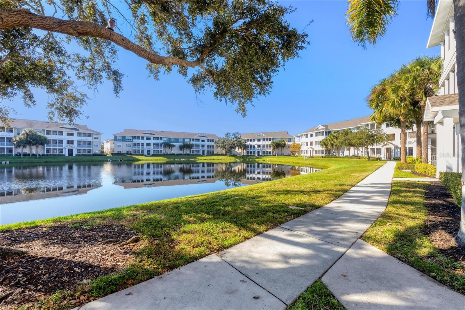 THE PALMS OF CORTEZ - Residential