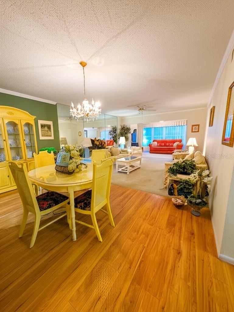 2351 IRISH LANE 35