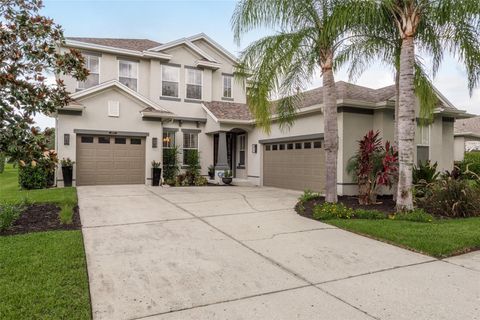 A home in LAND O LAKES