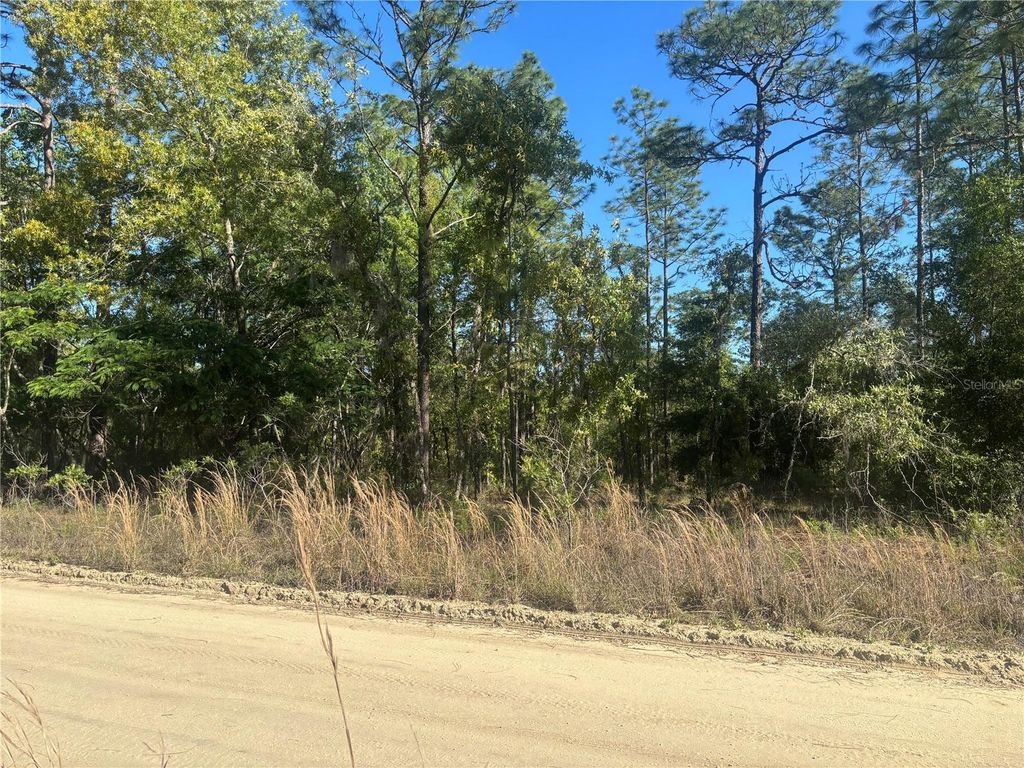 Photo of 0000 SW 8th Place, Ocala, FL 34481 (MLS # OM723020)