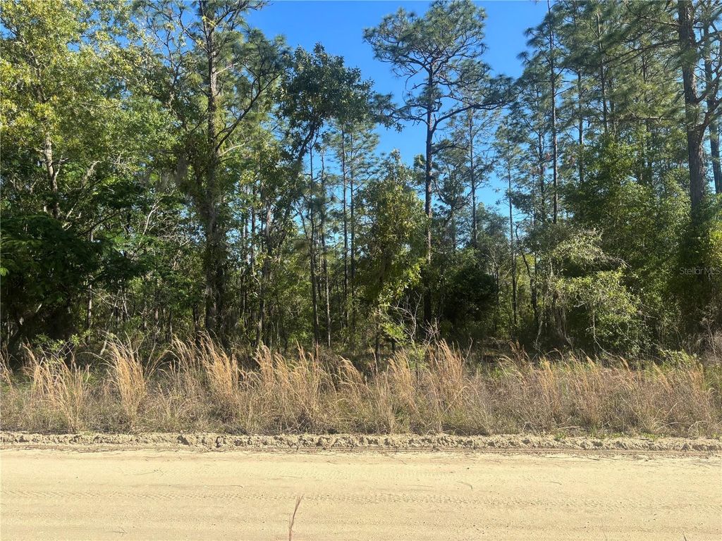 Photo of 0000 SW 8th Place, Ocala, FL 34481 (MLS # OM723020)