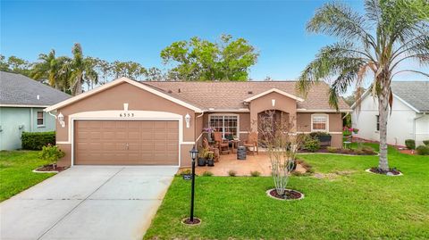 Photo of 6353 Cardinal Crest Drive, New Port Richey, FL 34655 (MLS # TB8486738)
