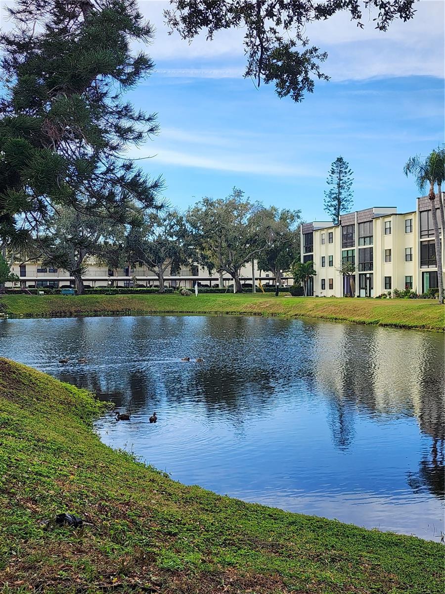 LAKEVIEW OF LARGO - Residential