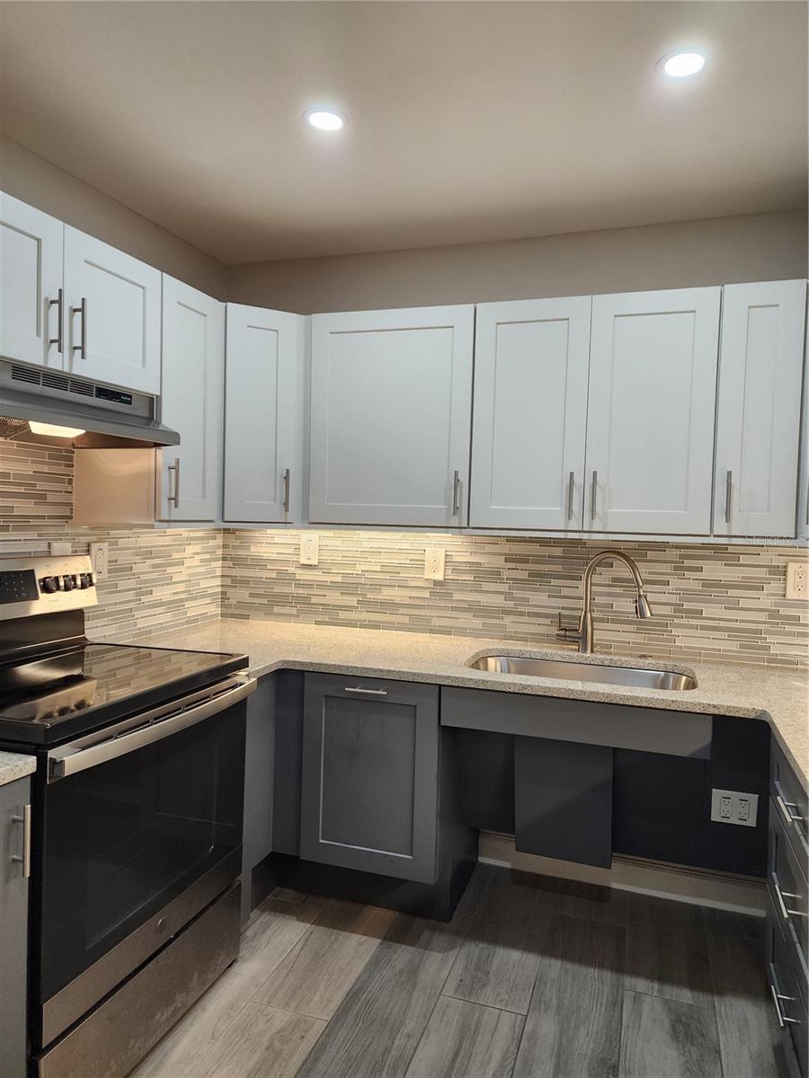 LAKEVIEW OF LARGO - Residential