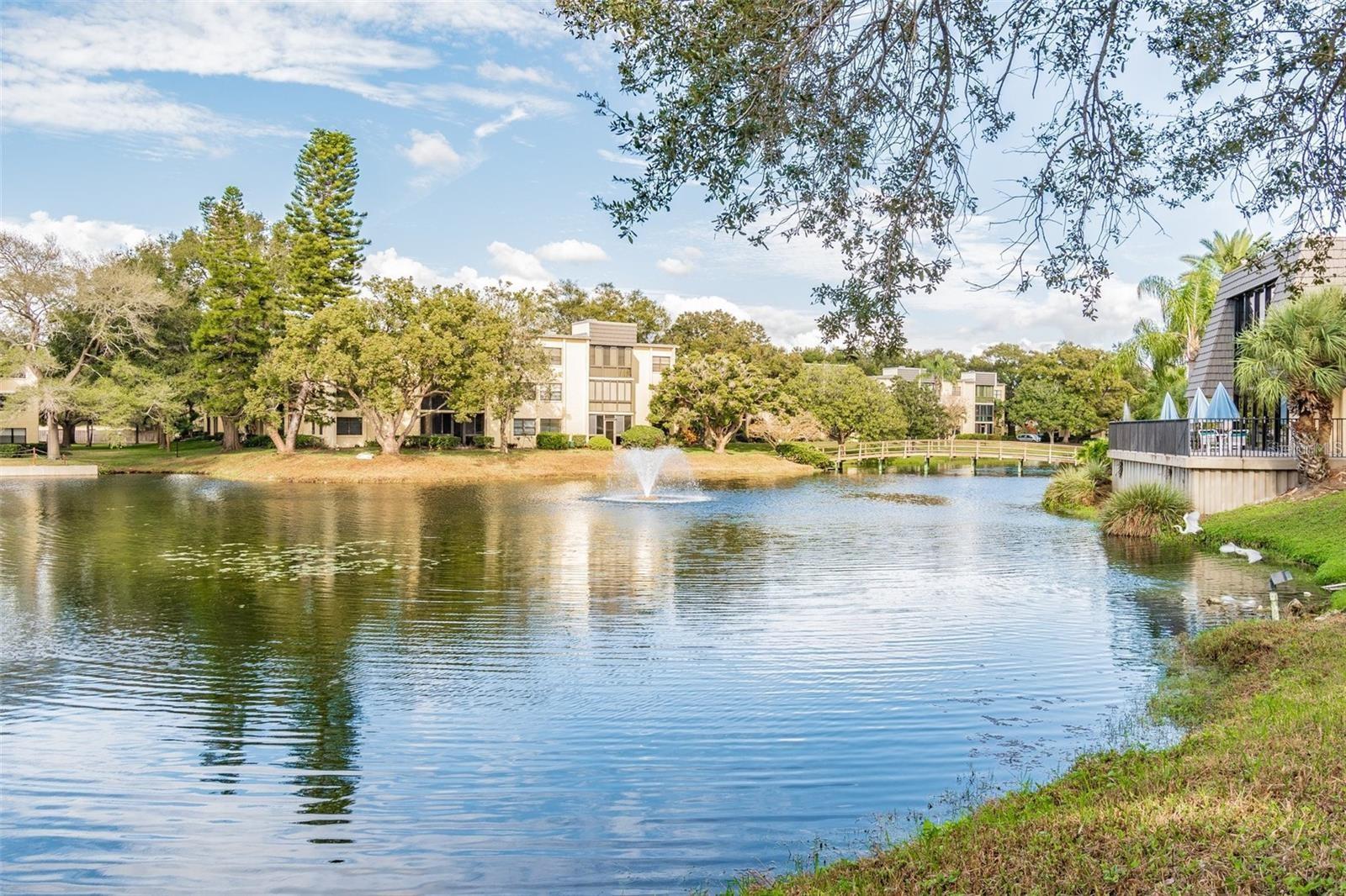 LAKEVIEW OF LARGO - Residential