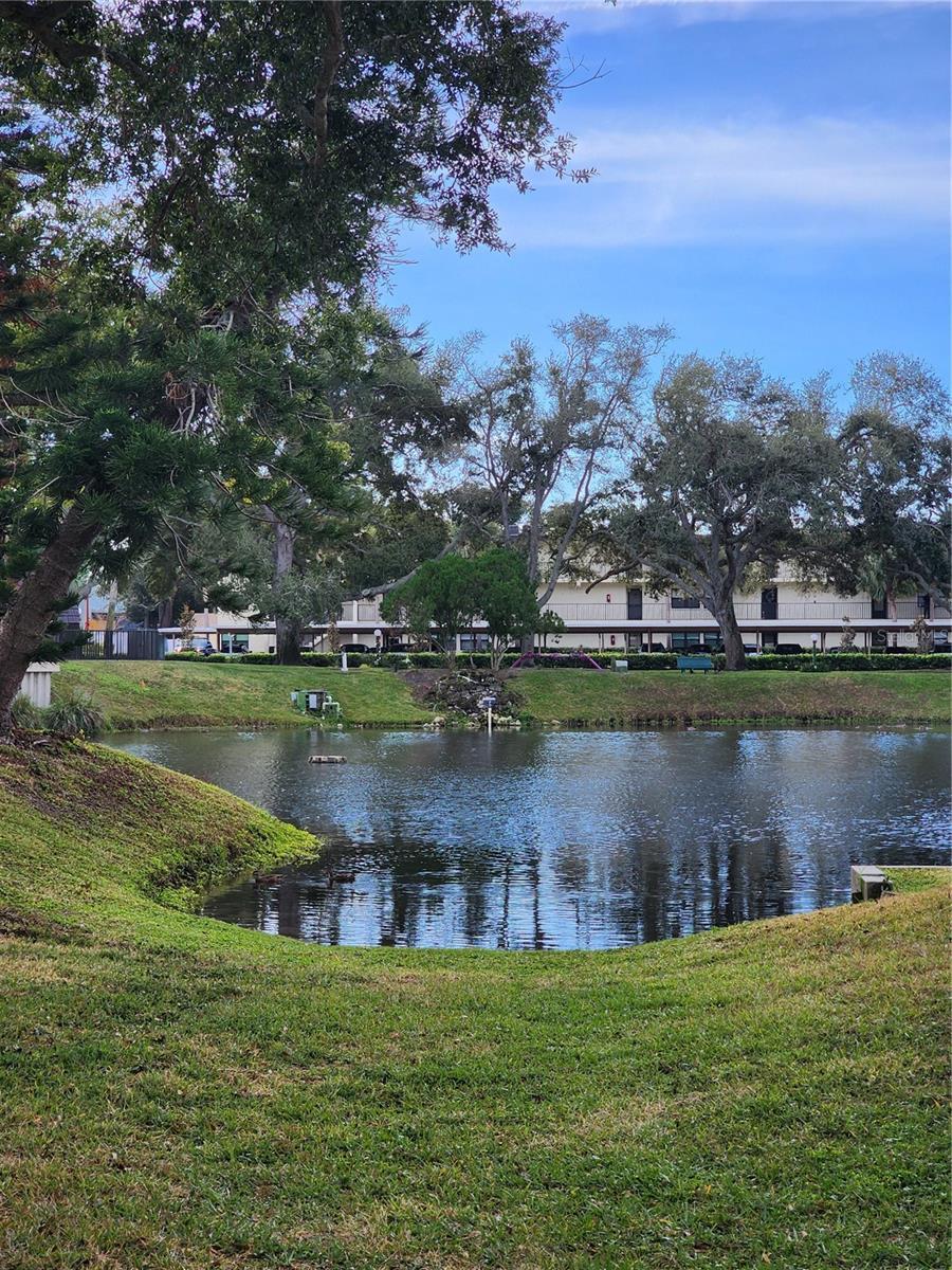 LAKEVIEW OF LARGO - Residential