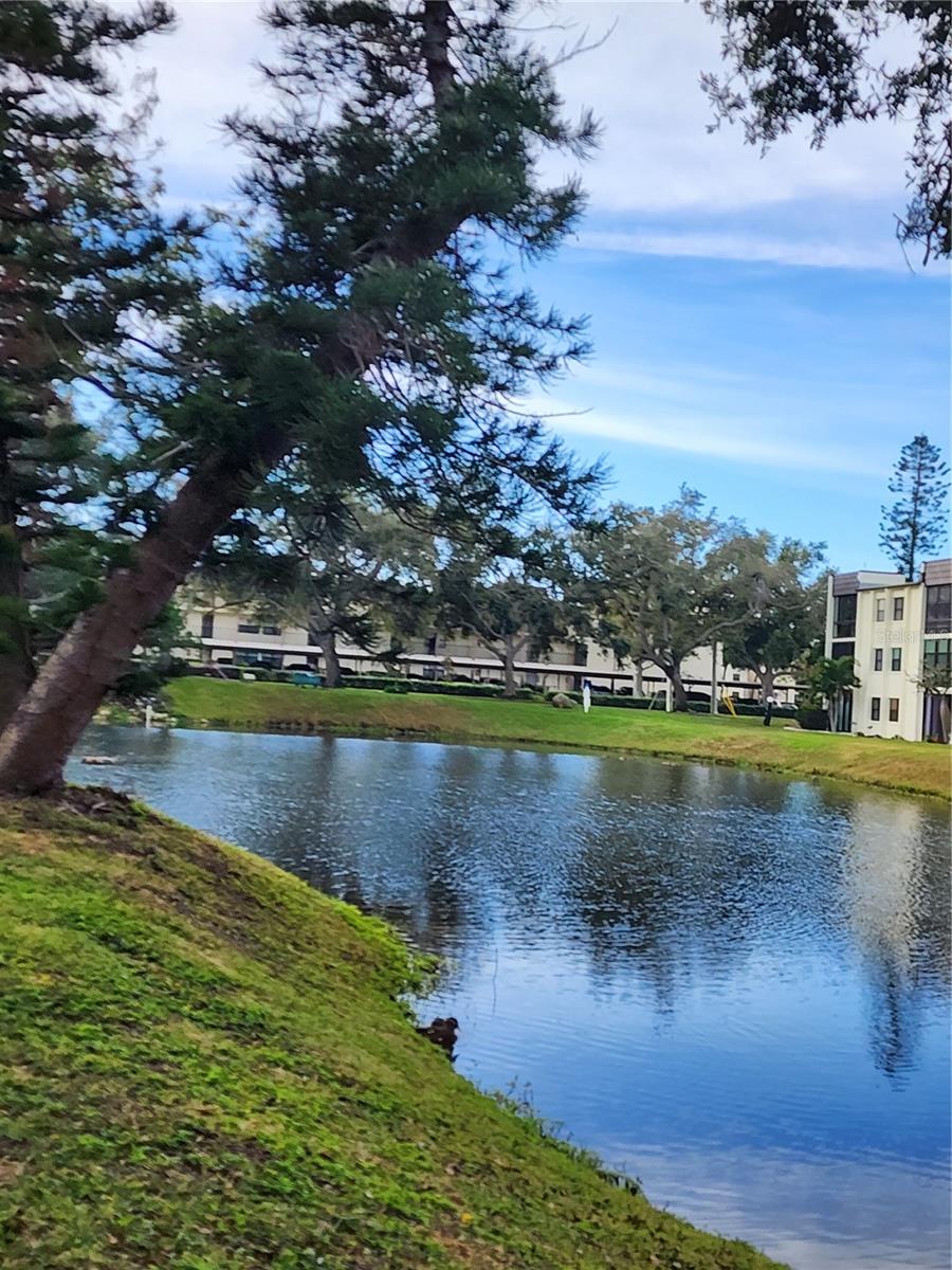 LAKEVIEW OF LARGO - Residential