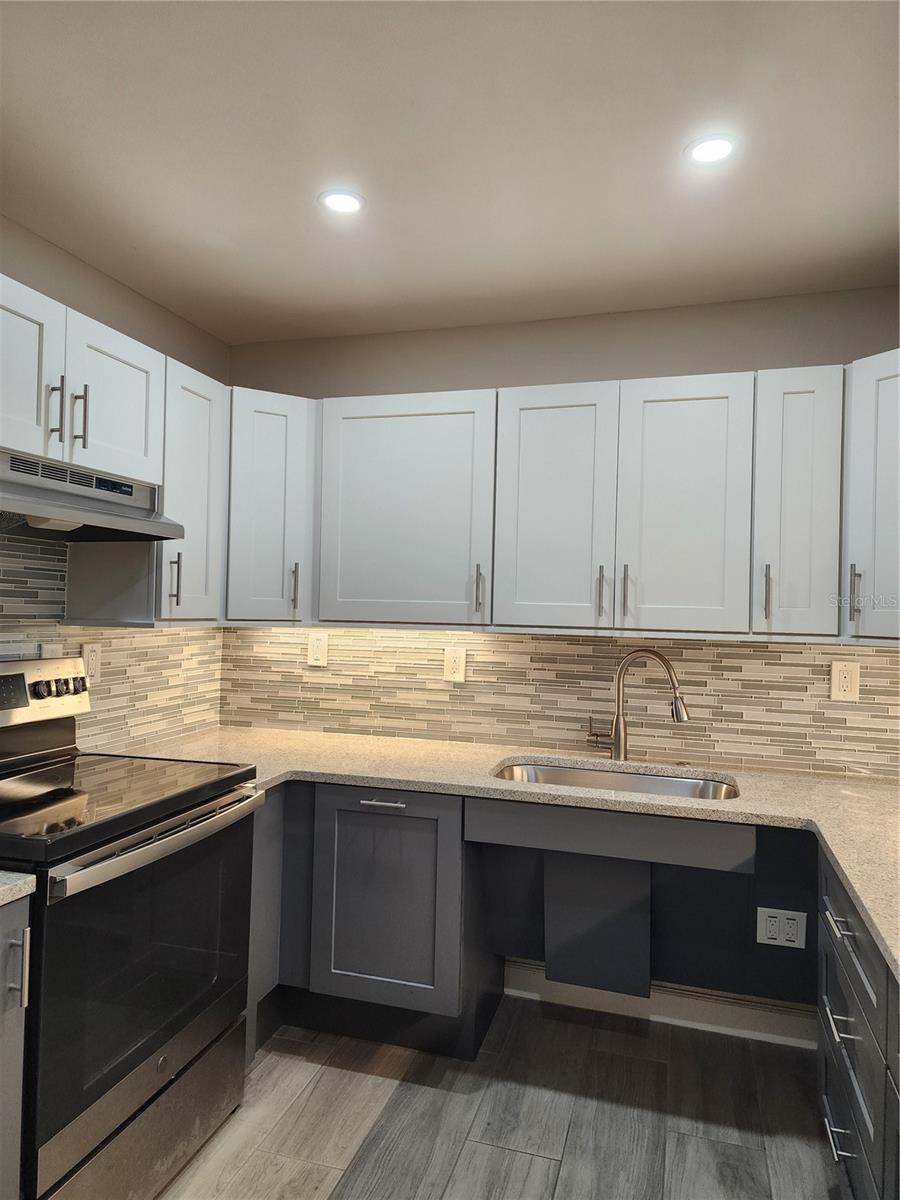 LAKEVIEW OF LARGO - Residential