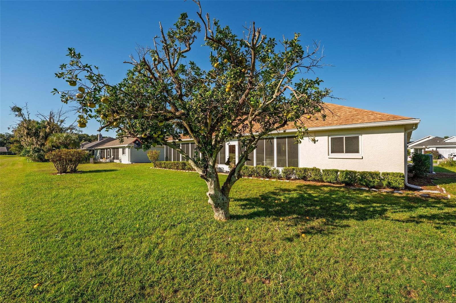 OCALA PALMS UN I - Residential Lease