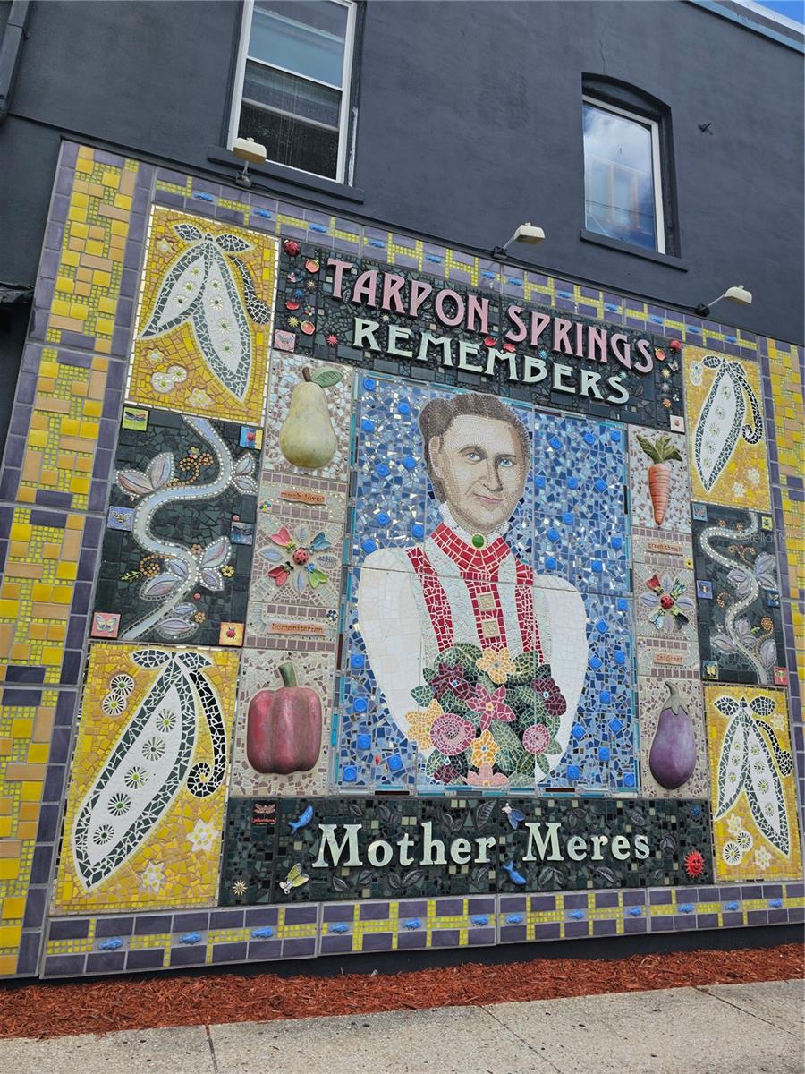 TARPON SPGS OFFICIAL MAP - Commercial Sale