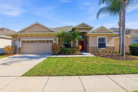 3235 GRASSGLEN PLACE WESLEY CHAPEL FL 33544
