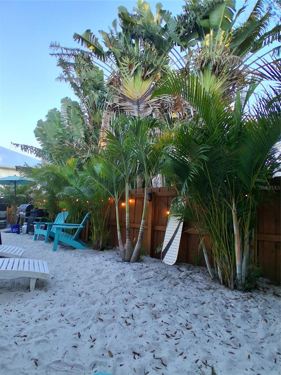 NAILS - Residential Lease