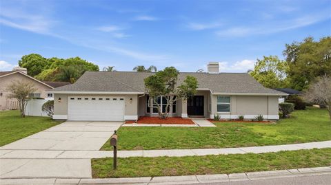 Photo of 465 Holly Hill Road, Oldsmar, FL 34677 (MLS # TB8486777)