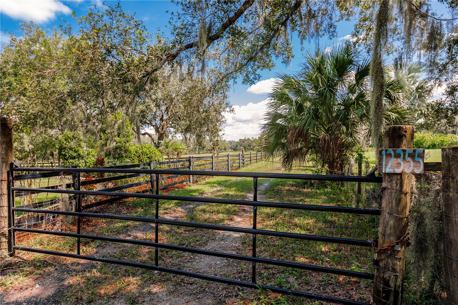 12355 DORIS ROAD