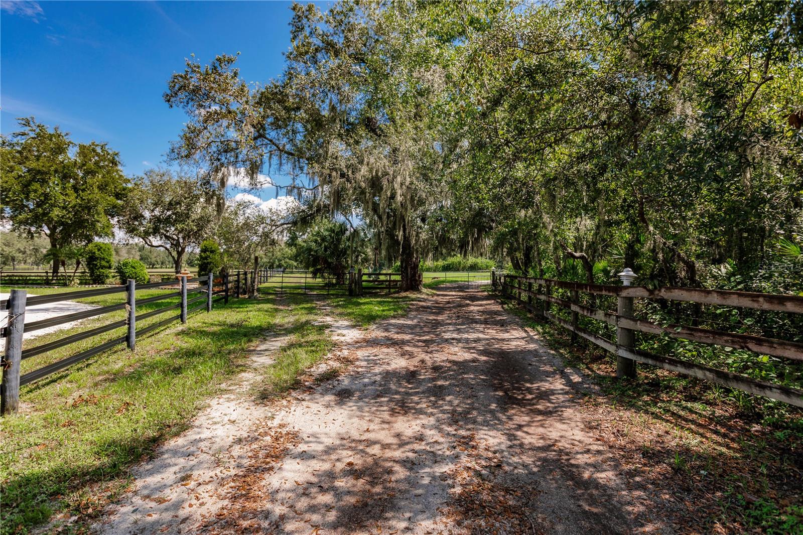 12355 DORIS ROAD