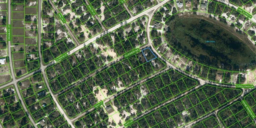 Photo of 425 Allegheny Avenue, Lake Placid, FL 33852 (MLS # OM624328)