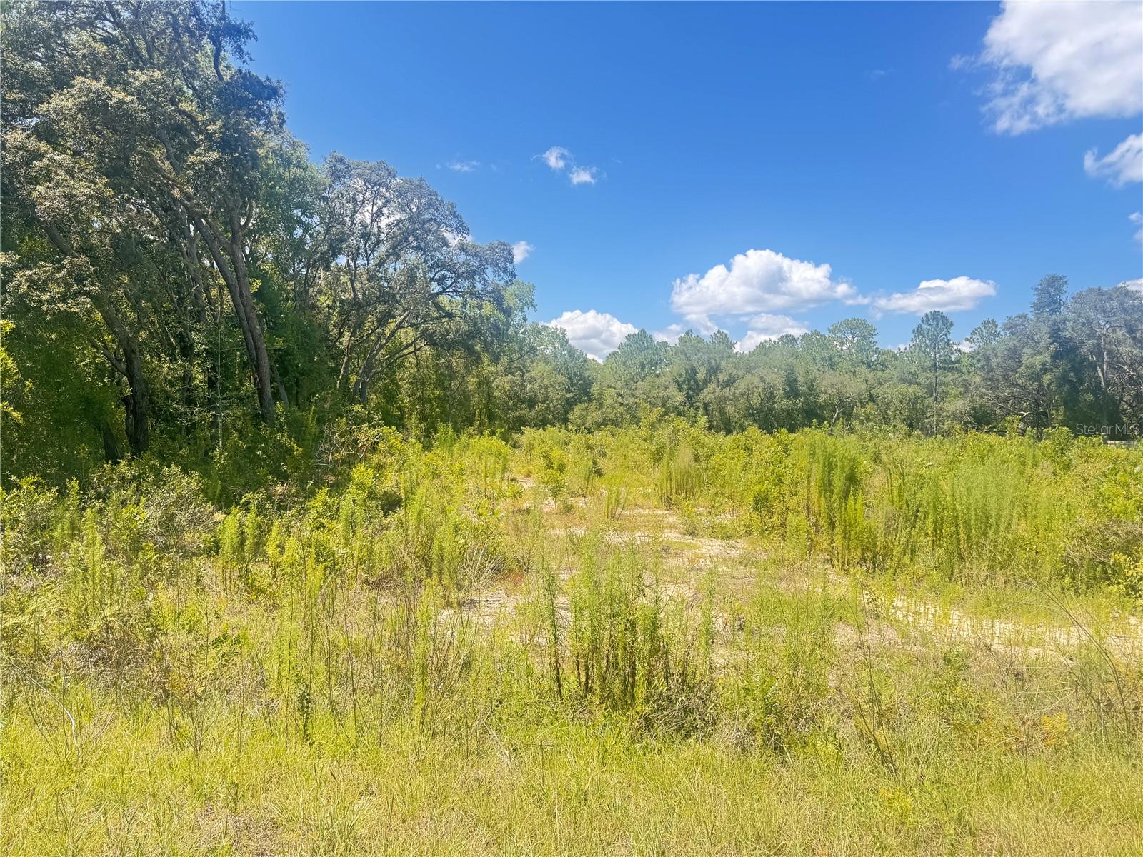 Discover the perfect homesite in the highly sought-after Rolling Hills community—no HOA and ready to build! This cleared 1.16-acre lot offers a blank canvas for your new home in a peaceful, country-style setting with the convenience of nearby amenities.
Located just minutes from the World Equestrian Center, Rainbow Springs, top-rated fishing spots, hiking trails, and endless outdoor recreation. Enjoy easy access to shopping, dining, and entertainment, all while living in a quiet and spacious neighborhood.
Don’t miss this opportunity to create your ideal Florida lifestyle—start building today!