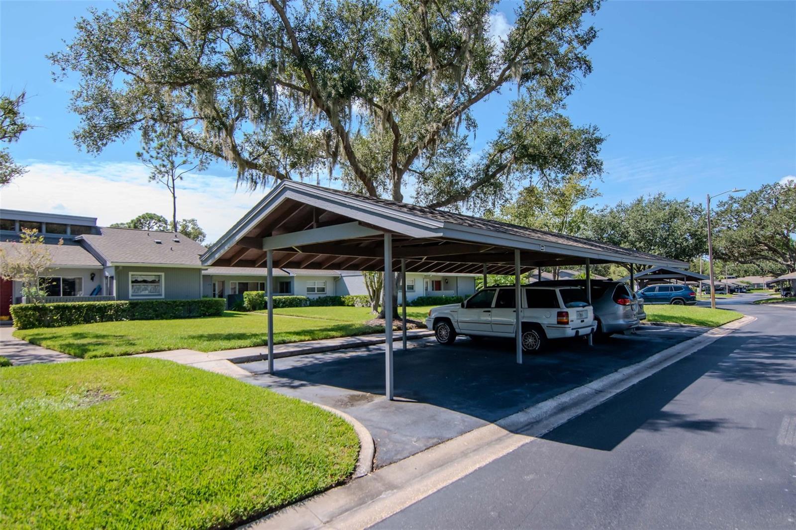 EAST LAKE WOODLANDS CLUSTER HOMES - Residential