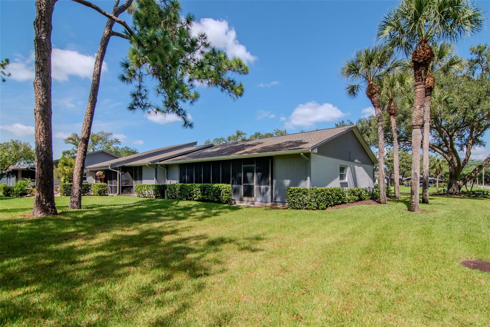 EAST LAKE WOODLANDS CLUSTER HOMES - Residential