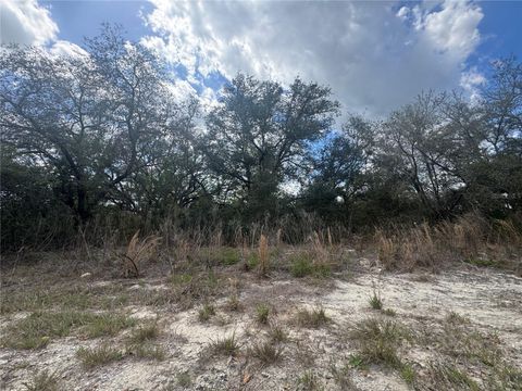 Tiny photo for Tbd SE 131st Terrace, Dunnellon, FL 34431 (MLS # OM721876)