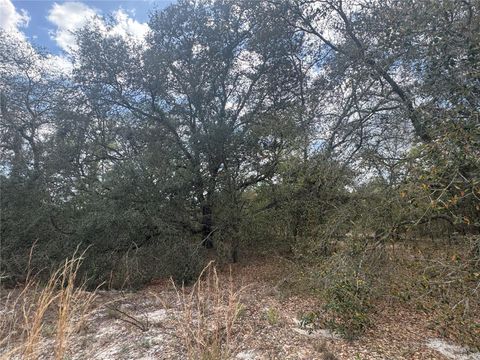 Tiny photo for Tbd SE 131st Terrace, Dunnellon, FL 34431 (MLS # OM721876)