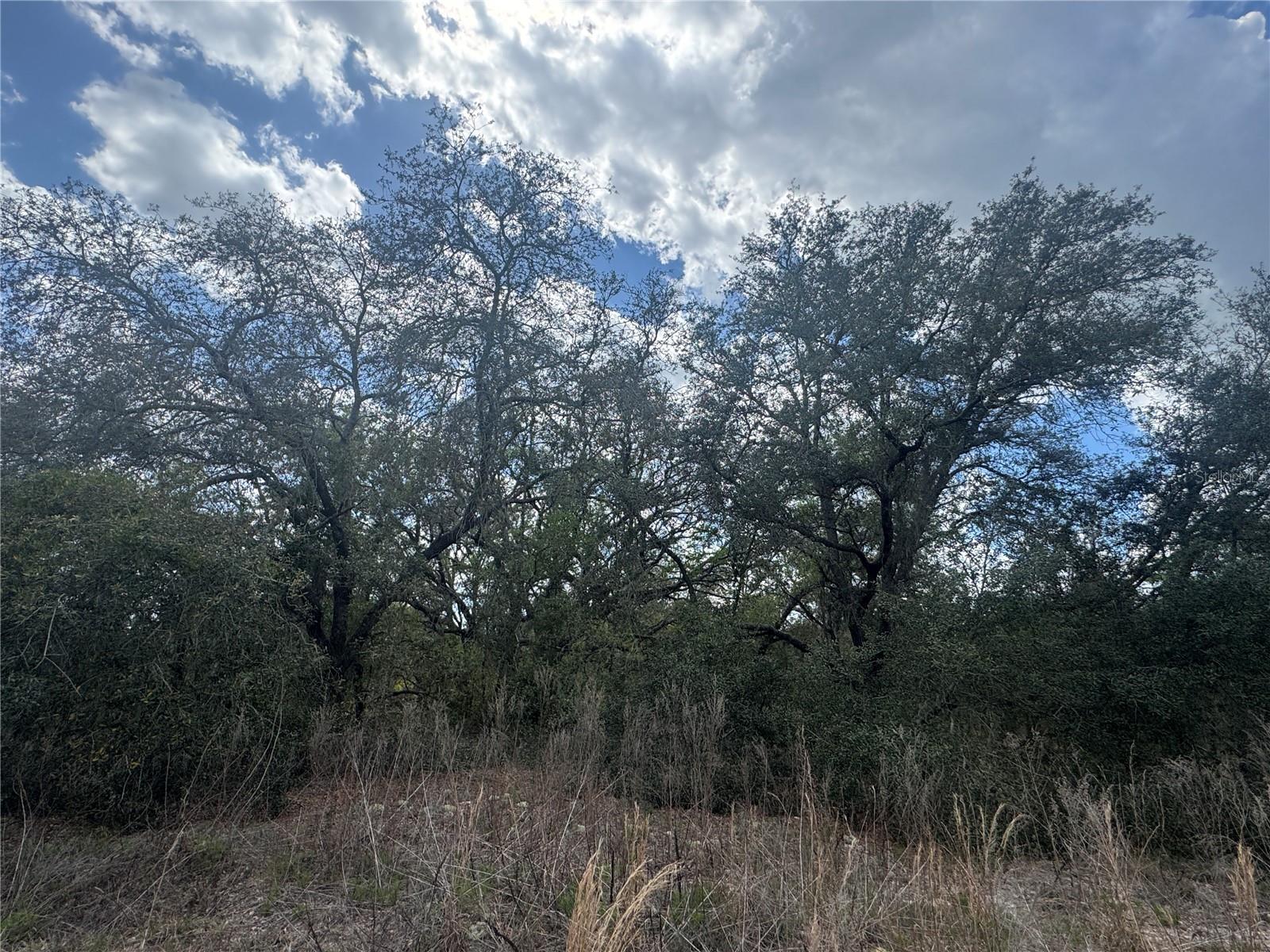 RAINBOW LAKES ESTATE - Land