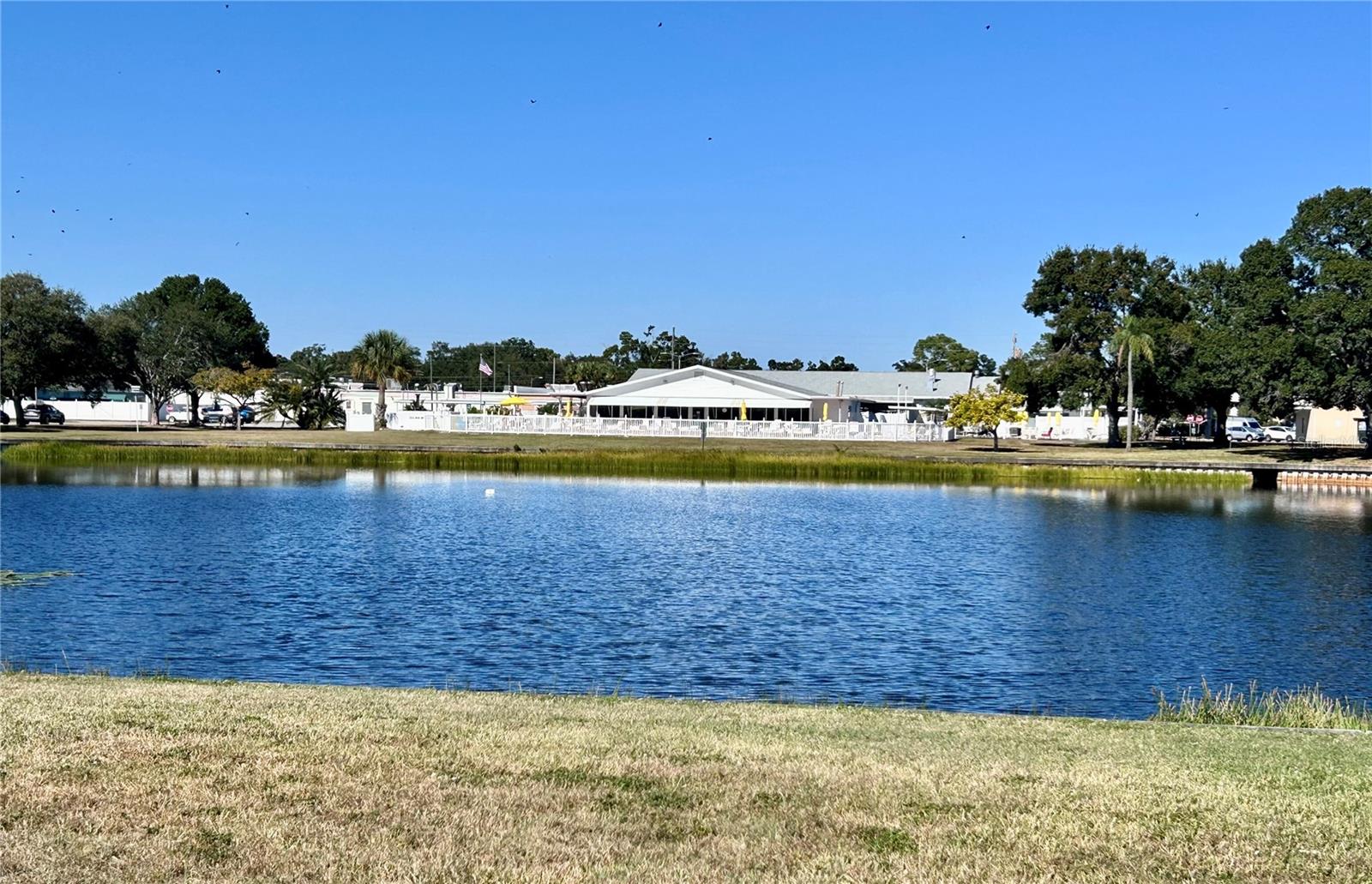 TOWN APTS CONDO - Residential