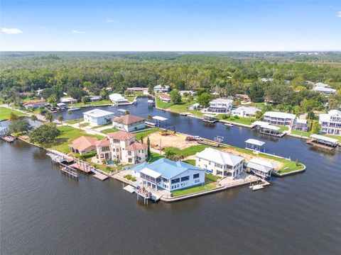 A home in CRYSTAL RIVER