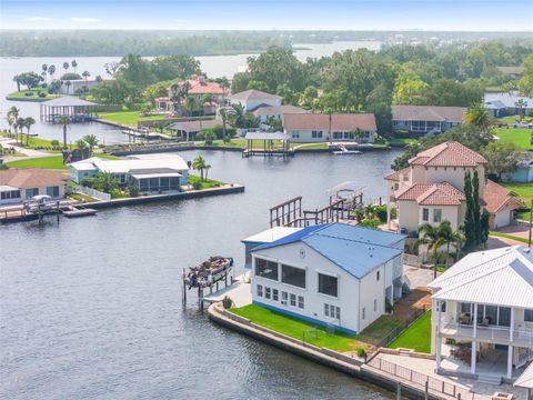 A home in CRYSTAL RIVER