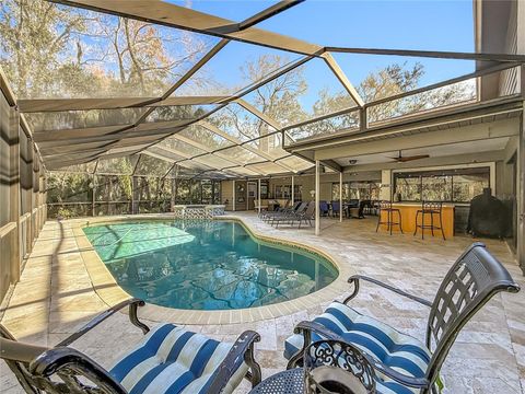 Photo of 50 Willowood Lane, Oldsmar, FL 34677 (MLS # TB8475420)