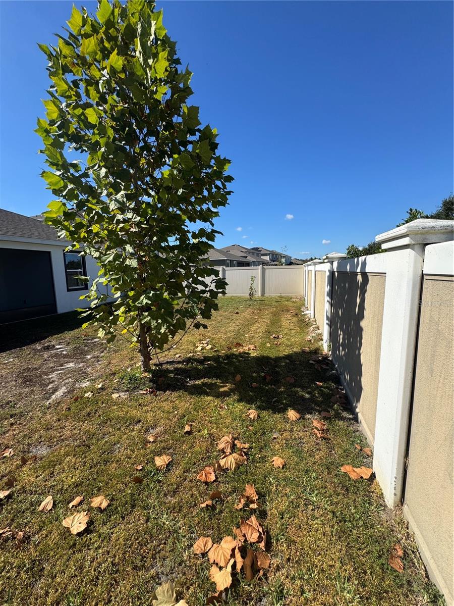 MIRADA PRCL 19-2 - Residential Lease